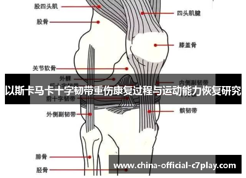 以斯卡马卡十字韧带重伤康复过程与运动能力恢复研究 以斯卡马卡十字韧带重伤康复过程与运动能力恢复研究